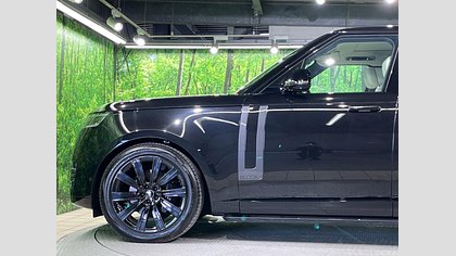 Range Rover 29
