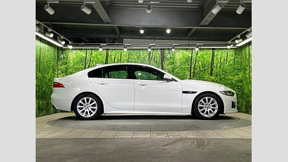 XE 25