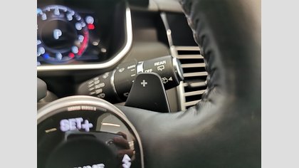 Range Rover 29