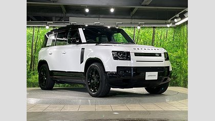 Defender 110 19