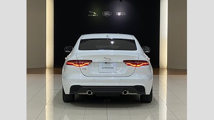 XE 6