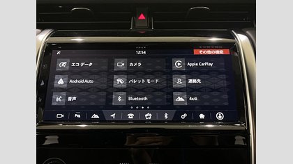 Discovery Sport 54