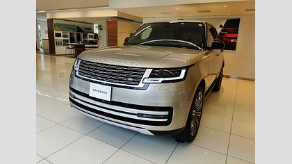 Range Rover 10