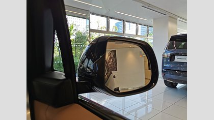 Range Rover 29