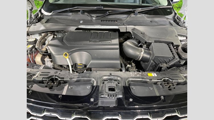 2019 認定中古車 Land Rover Range Rover Evoque ユーロンホワイト P250 SE