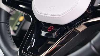 Range Rover Sport 19