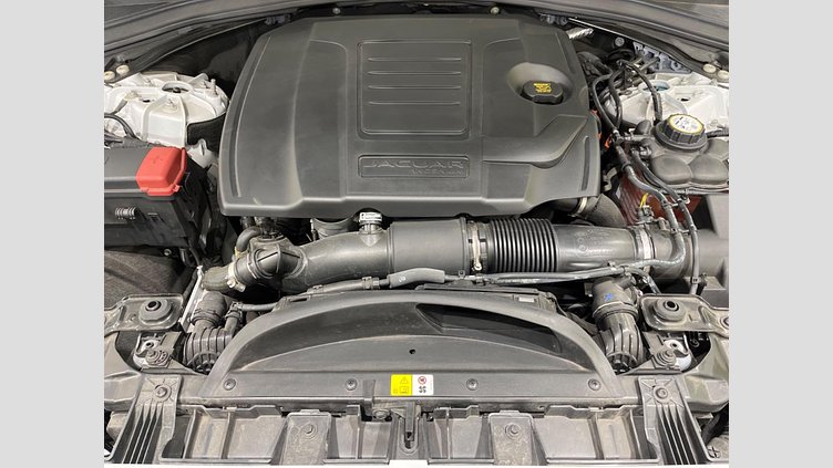 2021 認定中古車 Jaguar F-Pace ユーロンホワイト P250 AWD（オートマチック） S
