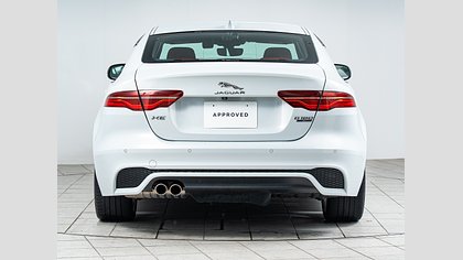 XE 6