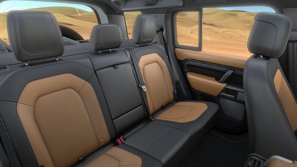Defender 110 10