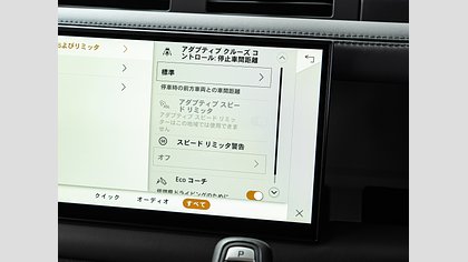 Defender 110 19
