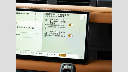 Defender 110 17