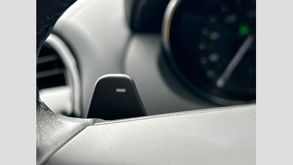 XE 31
