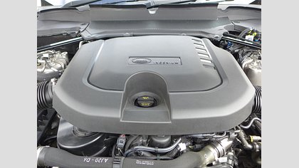 Discovery 84