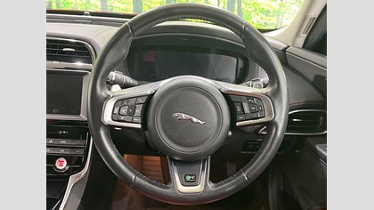 XE 31