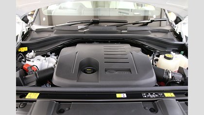 Range Rover 50