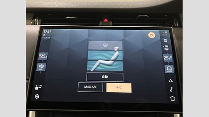 Discovery Sport 19