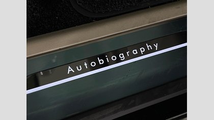 Range Rover 19