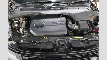 Range Rover Evoque 19