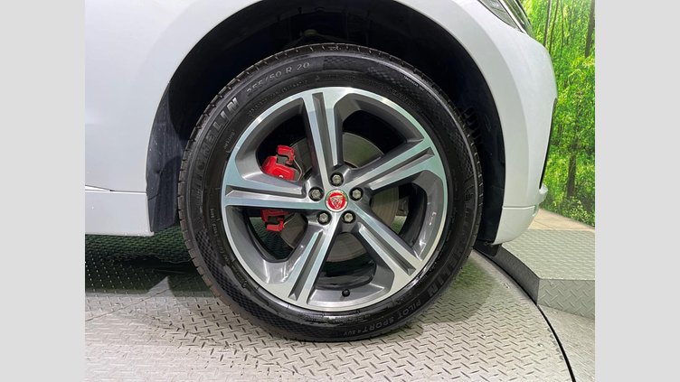 2019 認定中古車 Jaguar F-Pace Yulong White 3.0 litre V6 Supercharged Petrol S