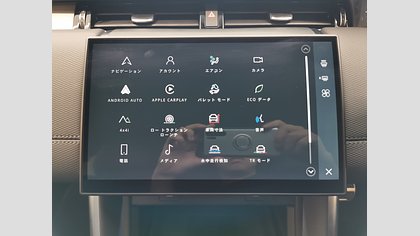Discovery Sport 31