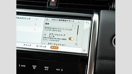 Discovery Sport 19