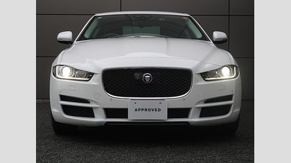 XE 44