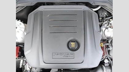 XE 39