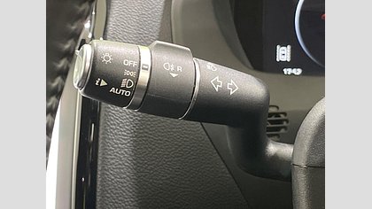 XE 31