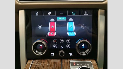 Range Rover 20