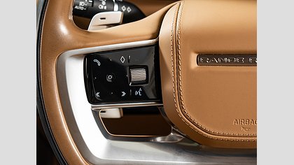 Range Rover 19