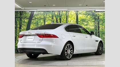 XF 6