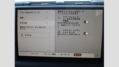 Defender 110 43